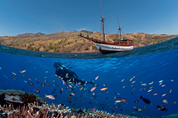 Plongée sous-marine : bénéficiez des meilleurs tarifs pour un Safari Bali Plongée